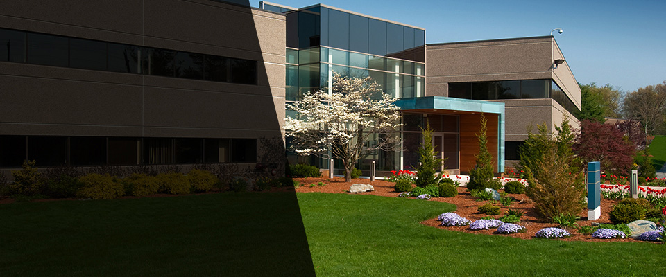 Coral Springs Landscapers