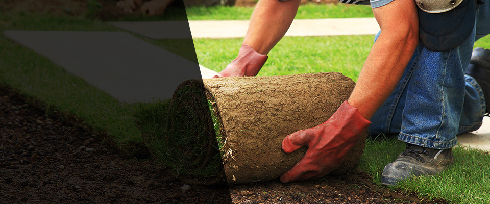 Coral Springs Landscapers